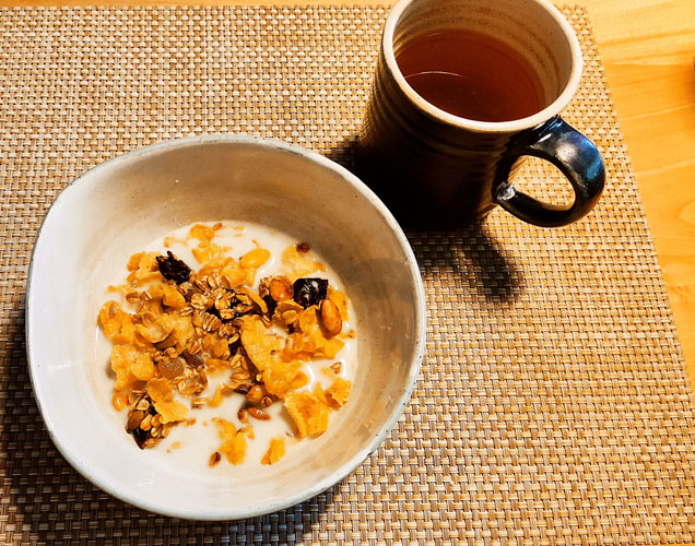 granola avec lait végétal pour le petit-déjeuner